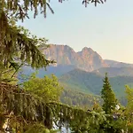 Lejlighed Jaskowe Marzenie - Z Widokiem Na Tatry W Centrum Zakopanego Zakopane
